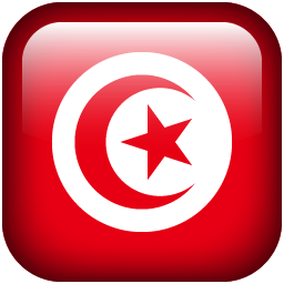 Image result for tunisiaflag