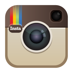 Image result for icon instagram png