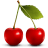 http://www.iconarchive.com/icons/artbees/paradise-fruits/48/Cherry-icon.png